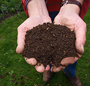 Compost de qualité